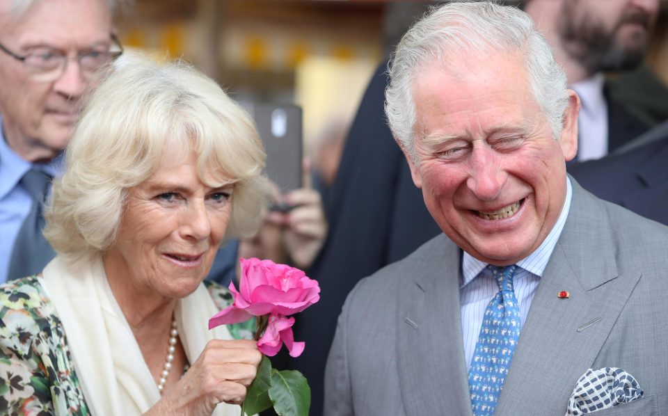  Prince Charles, who today toured Nice on an official visit, said he was excited for his son's upcoming wedding