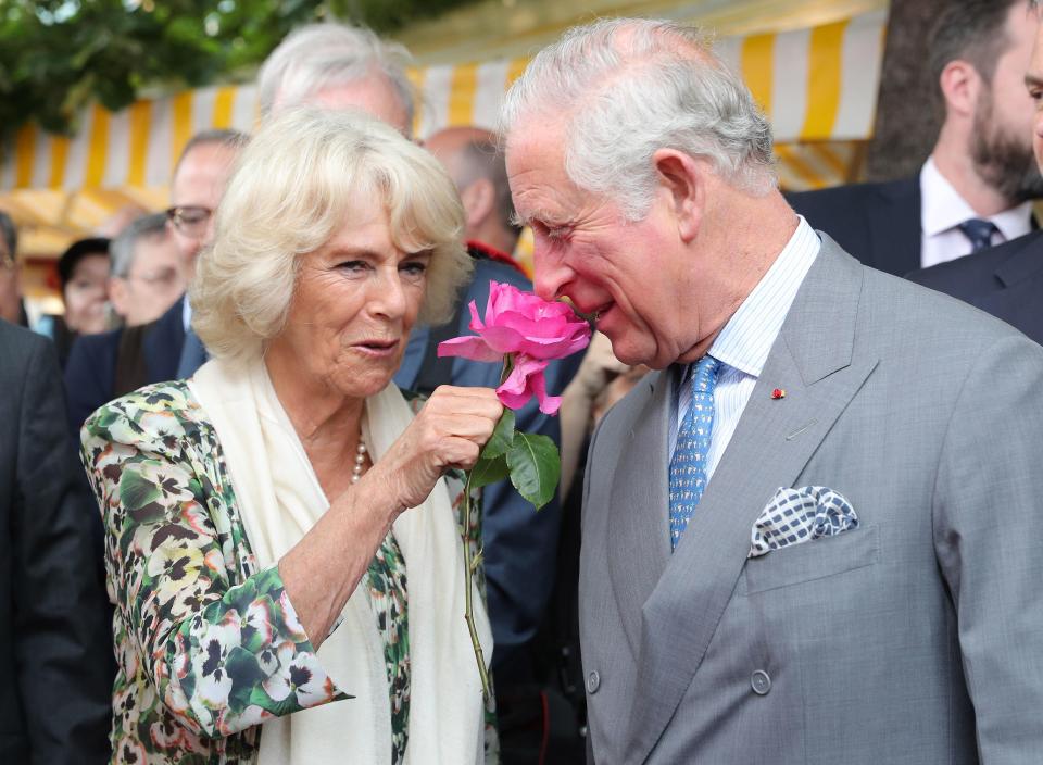  Prince Charles, who was today in Nice with wife Camilla, said the upcoming wedding was marvellous