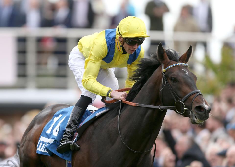  Young Rascal is a general 16-1 shot for the Derby at Epsom