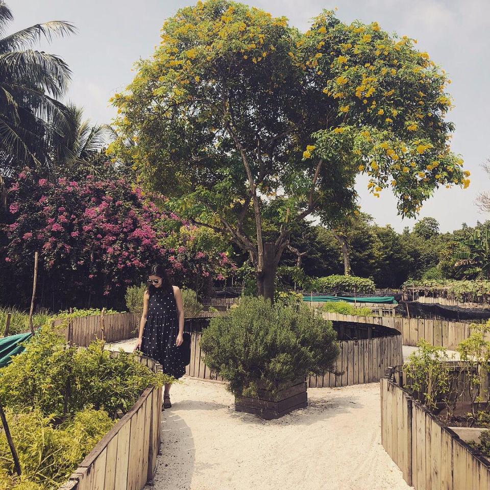  Jenna Coleman toured the resort's extensive gardens