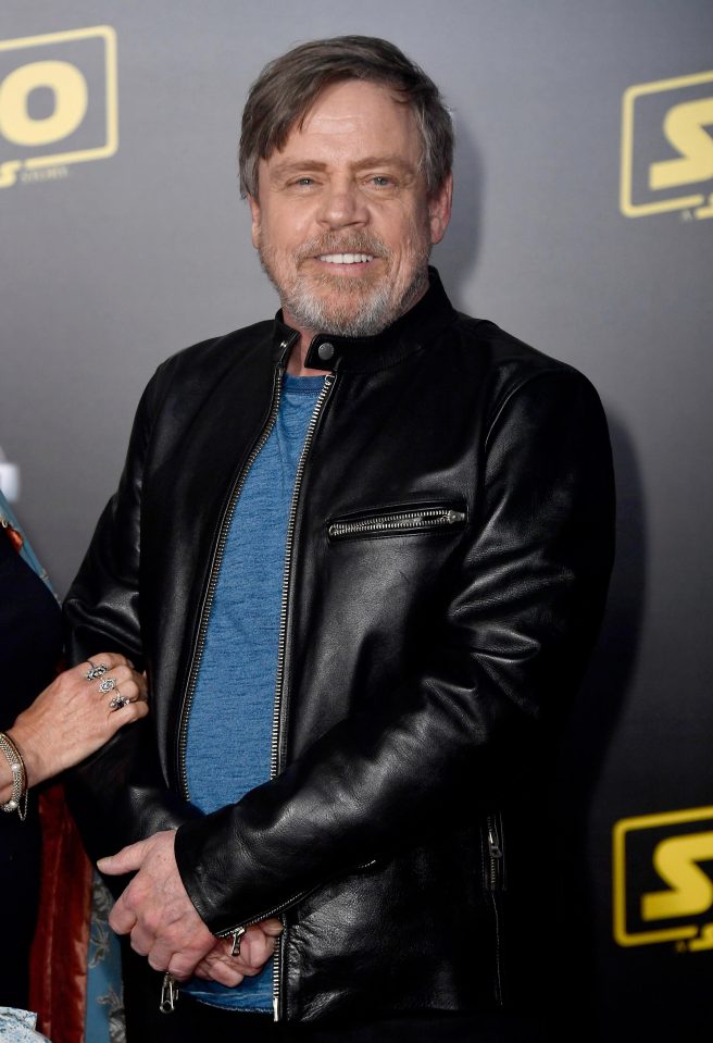  Luke Skywalker actor Mark Hamill also attended the premiere