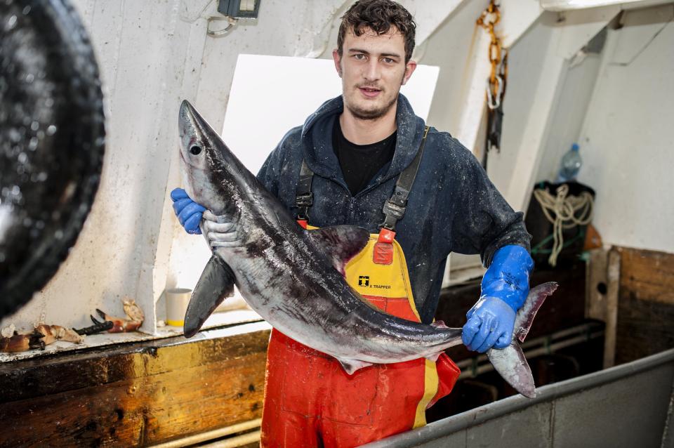  Fisherman Max Berryman holding a small porbeagle shark - the same type of shark which bit his leg