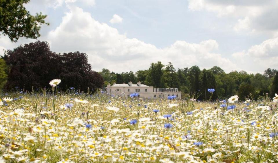  The gorgeous grounds of Cowarth park are the perfect setting for Prince Harry to spend his last night before getting hitched