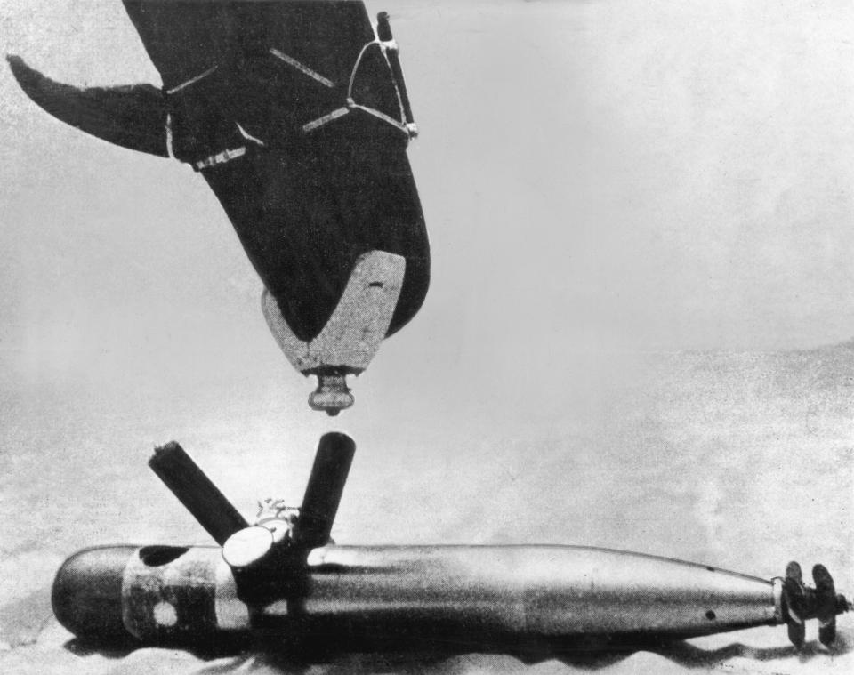  Pictured is a dolphin trained to plant bombs on ships during the Cold War