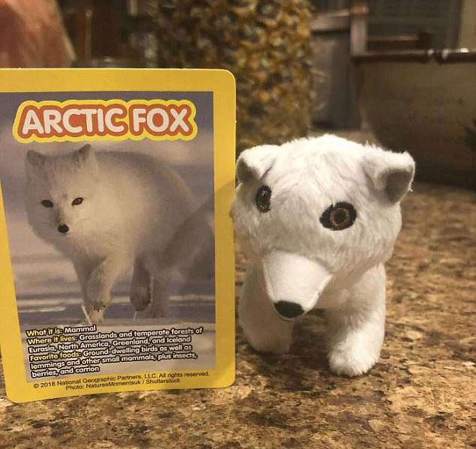  There's something not quite right about this arctic fox cuddly toy