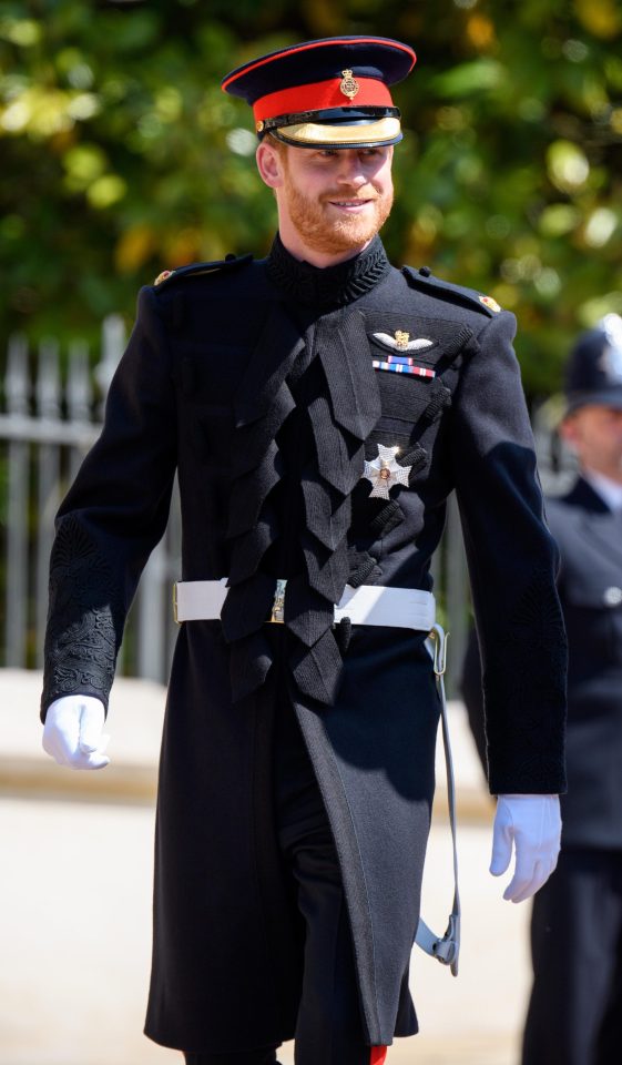  Prince Harry was granted permission to keep his beard by the Queen