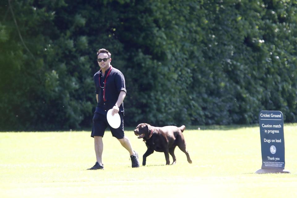  He was reunited with his dog Hurley - who he shares with ex-wife Lisa Armstrong - for a walk in park in London