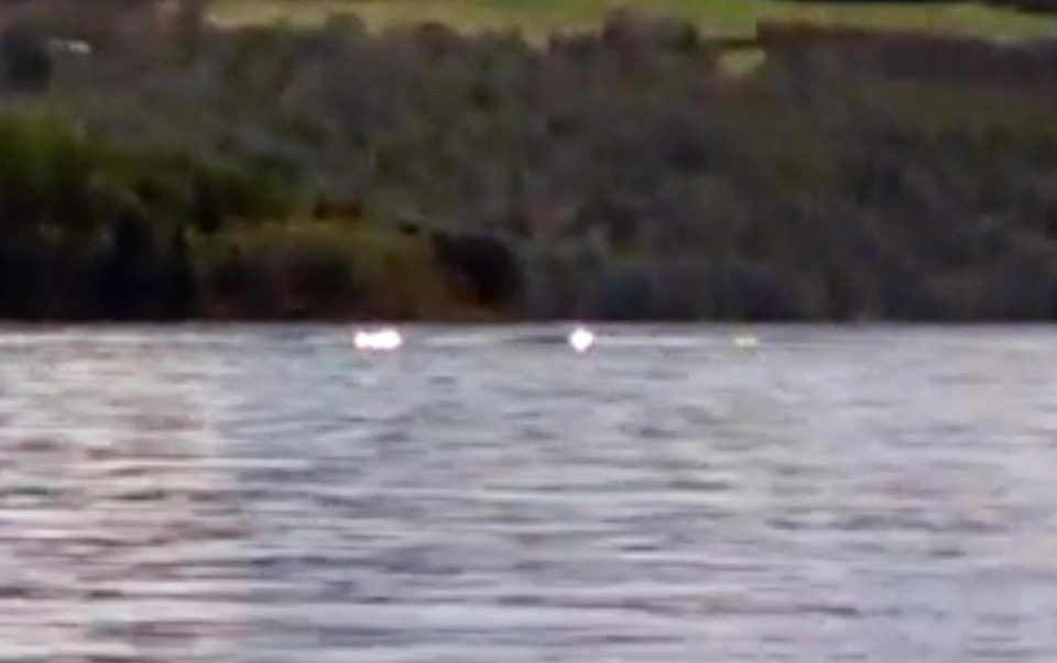  Gran Marie Annand believe this ripple proves the existence of the Loch Ness Monster