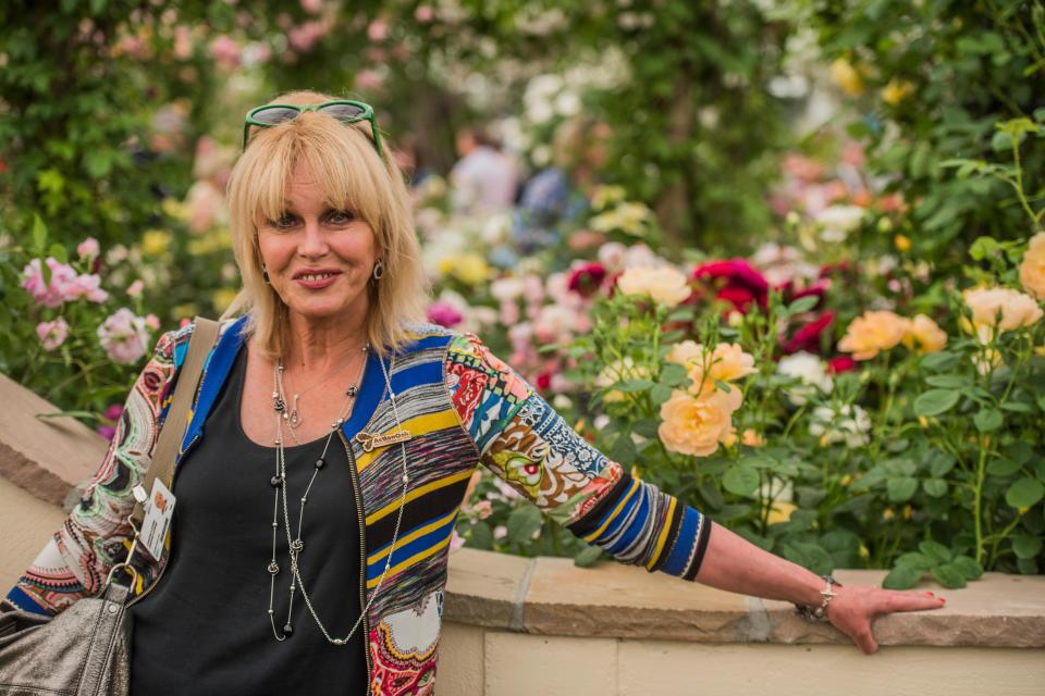  The Ab Fab star, above, is heading to Iran next week as part of a new ITV series, Joanna Lumley’s Silk Road