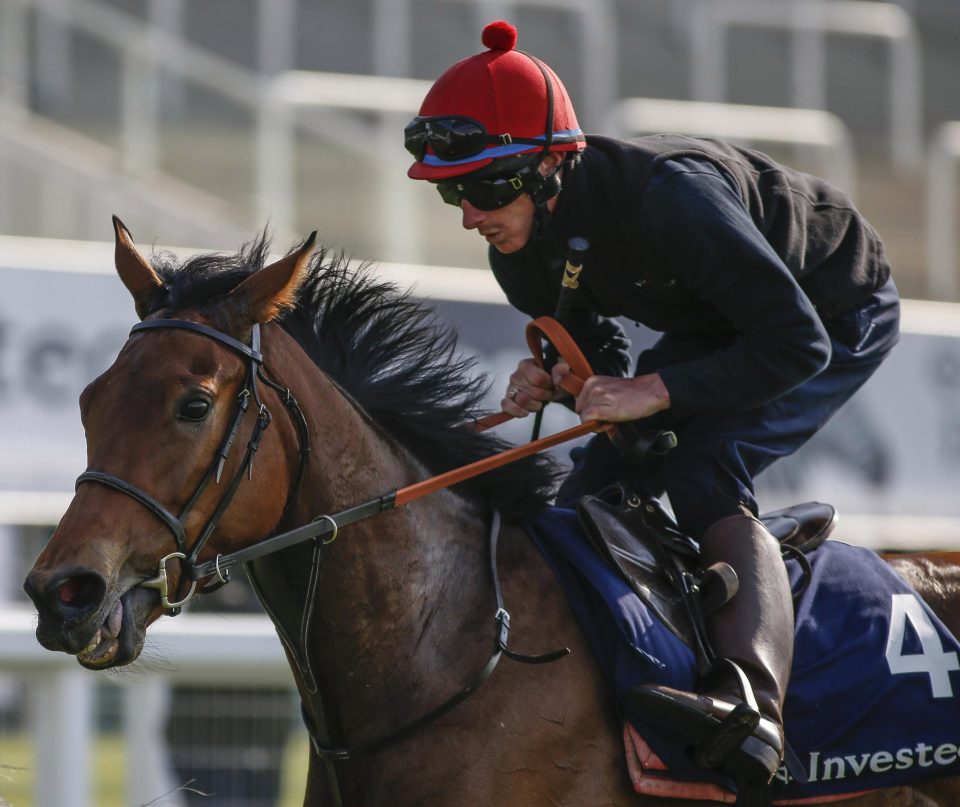  Perfect Clarity enjoyed a gallop at Epsom this week in preparation for the Oaks