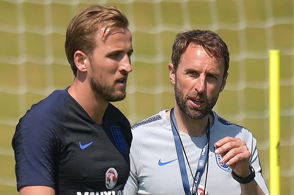 Gareth Southgate has named Kane as his skipper for the summer tournament 