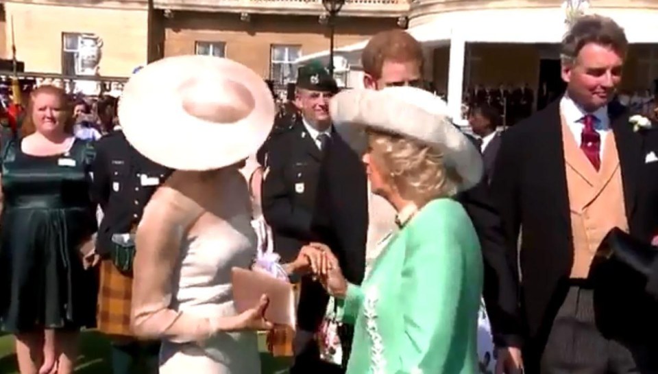 Meghan moment with Camilla