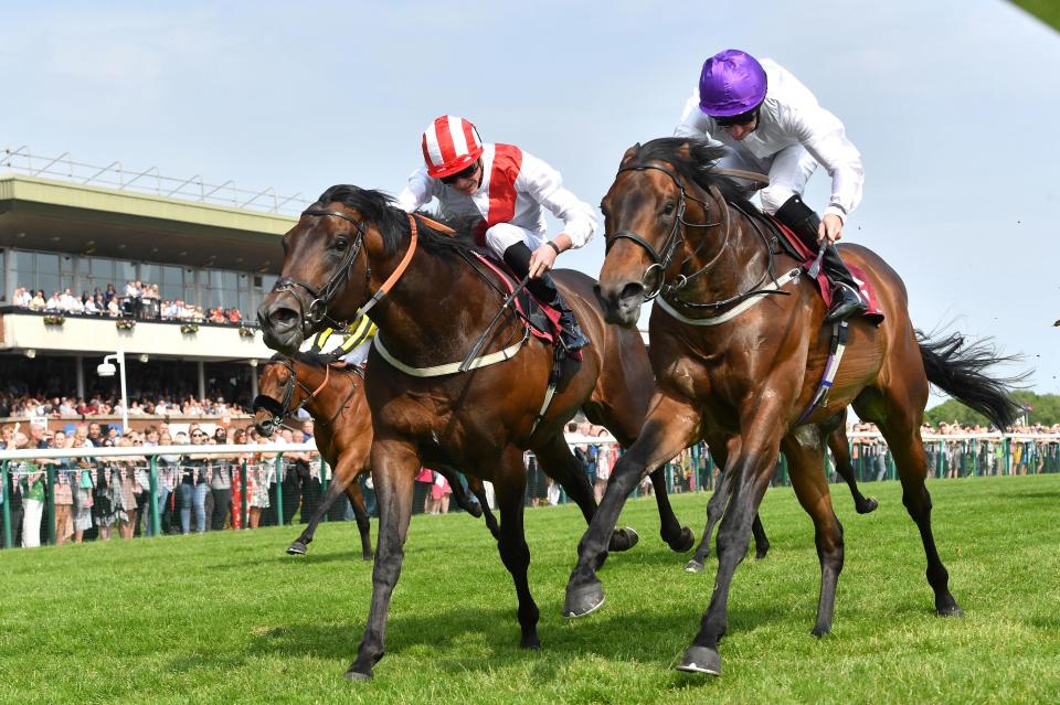  Sands Of Mali (right) just holds of Invincible Army