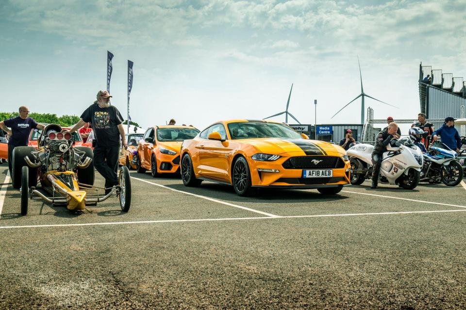 The American Mustang has a lot of weight over the nose, whereas the Focus is built for amusing twisty roads