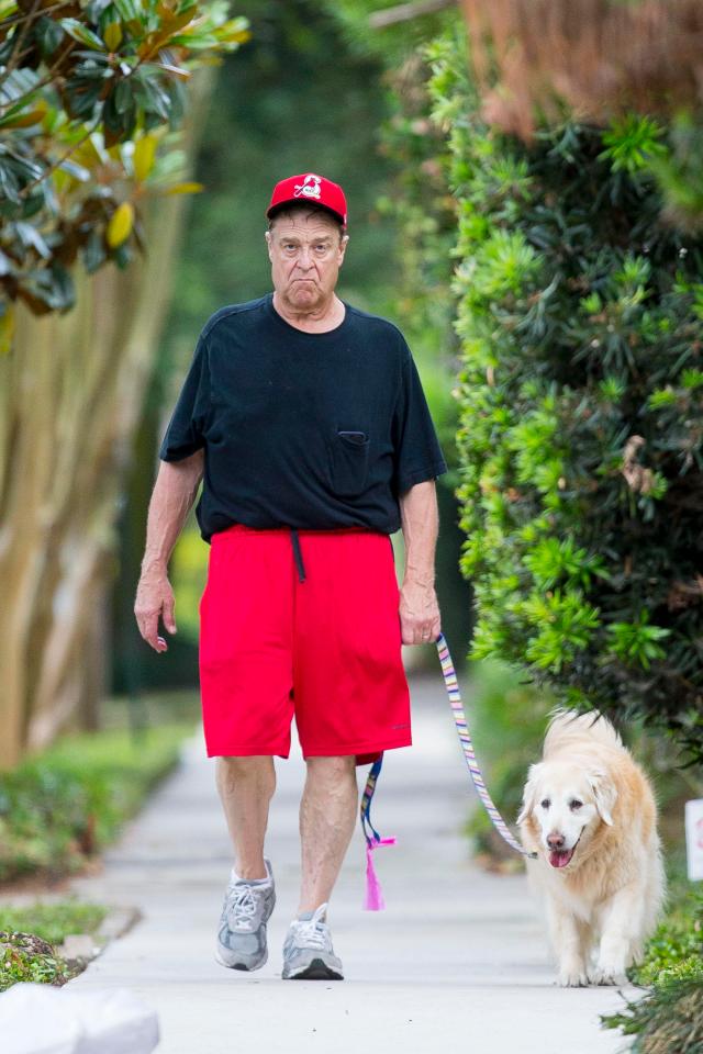  John Goodman has not spoken out since the comedian's tweets, but looked downcast on while walking his dog after ABC announced they were axing the show