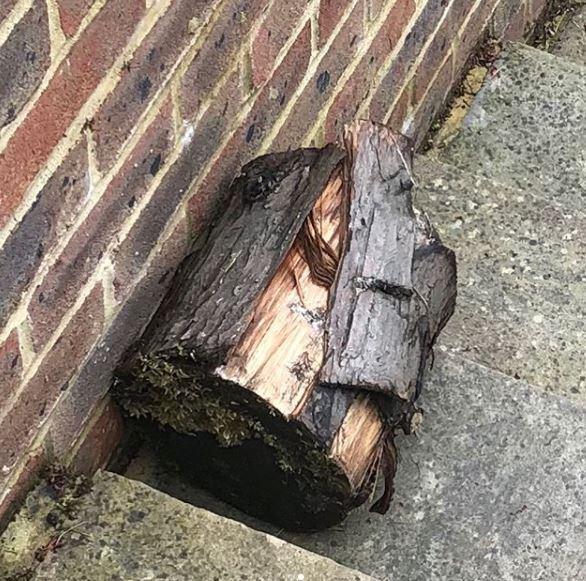  It appears a log was used to smash the windscreen as chips of wood could be seen on the car