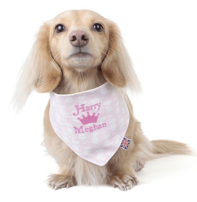  Dog lovers are encouraged to fork out £25 on a neckerchief for their pet from Teddy Maximums