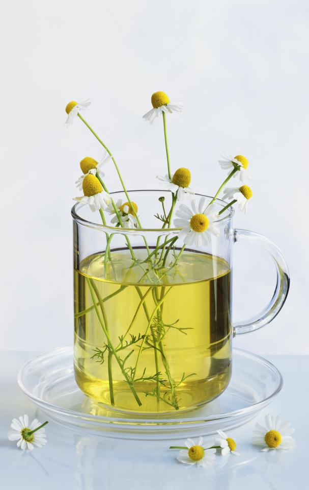  Health columnists have long raved about the benefits of chamomile tea