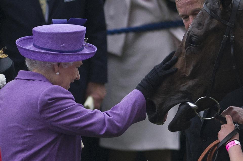  The Queen greets her horse Estimate, who won the Gold Cup in 2013