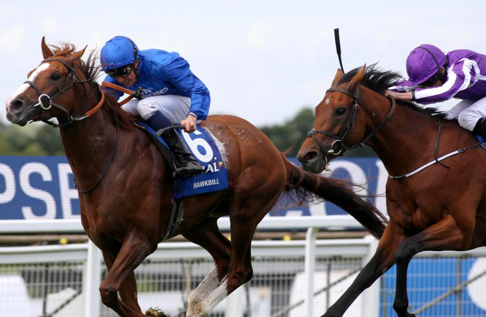  Hawkbill won the Group 1 Eclipse Stakes at Sandown last season