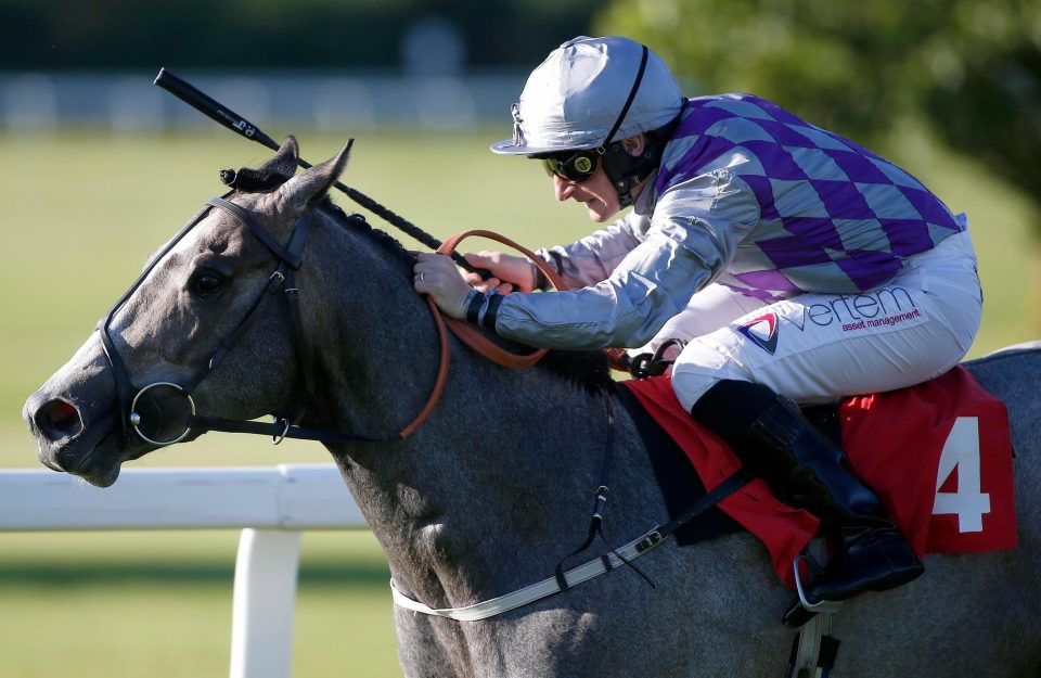  Karl Burke's Havana Grey is a top class sprinter