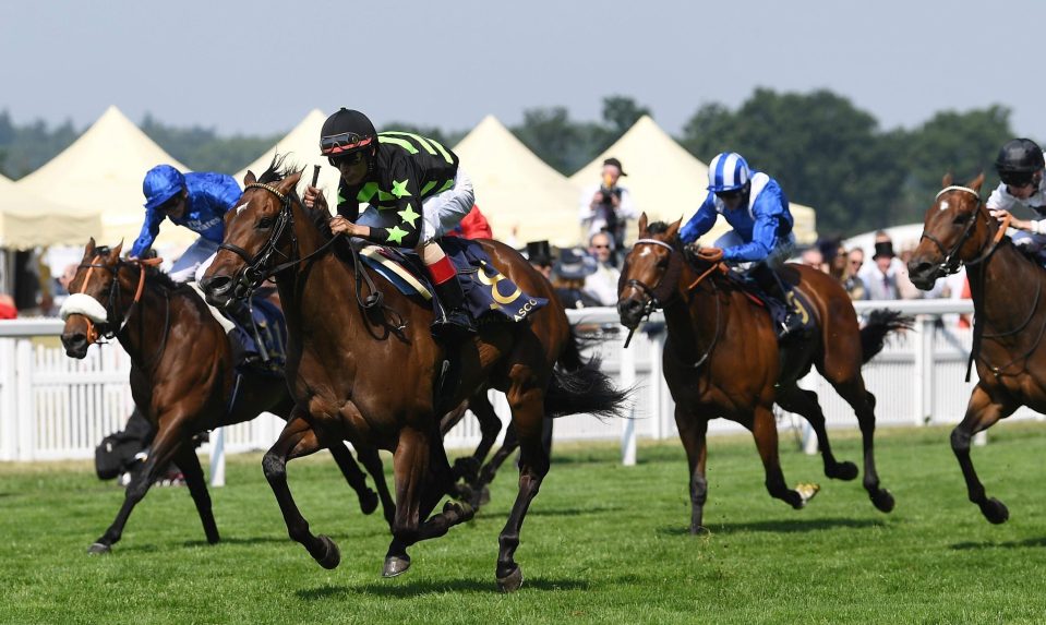  Lady Aurelia spreadeagles the opposition in last year's King's Stand