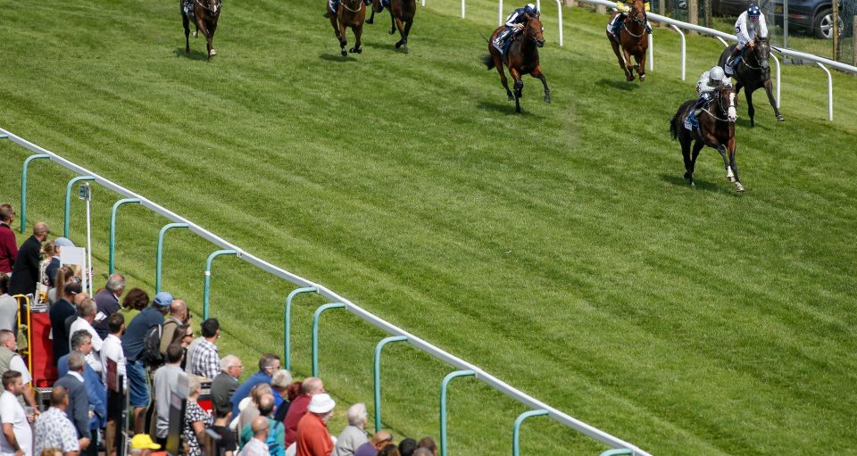  Lake Volta destroyed his field at Epsom