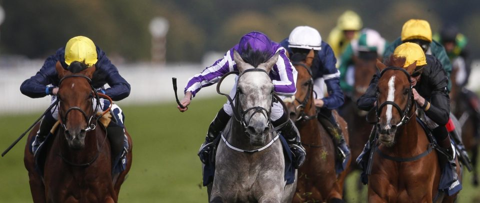  Crystal Ocean (left) looks way above his rivals in the Hardwicke