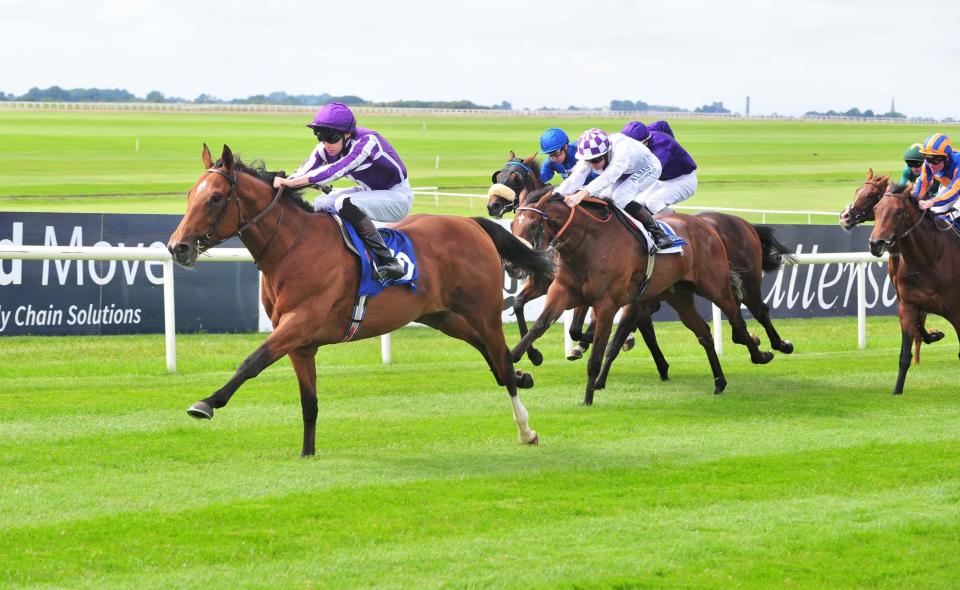  Saxon Warrior broke his maiden at the Curragh as a two-year-old