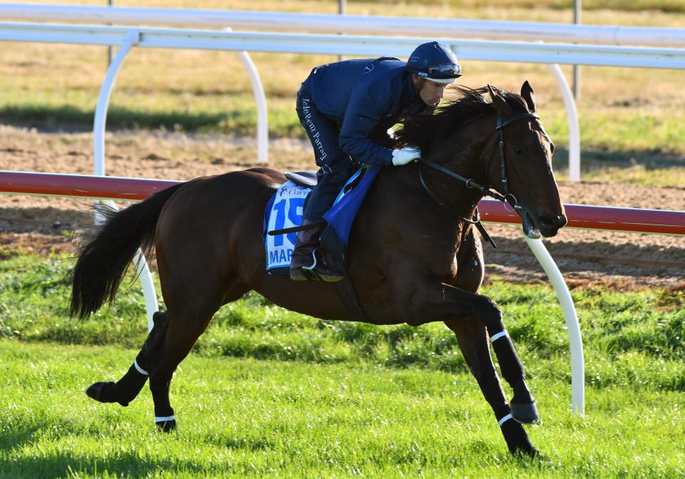  Hugh Bowman rides Marmelo in work down under