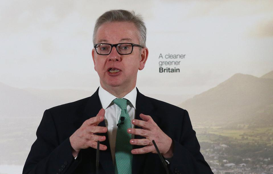  Michael Gove had originally wanted the PM's job