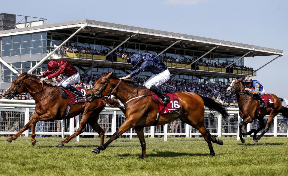  Lightning Spear just gets beaten in the Lockinge Stakes