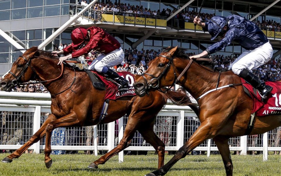  Lighting Spear (Left) was denied in a photo at Newbury