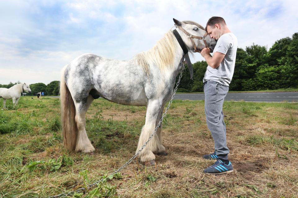  Paul Harrison from Rochdale, Lancashire, gives his horse 'Bill Bob' a peck on the nose