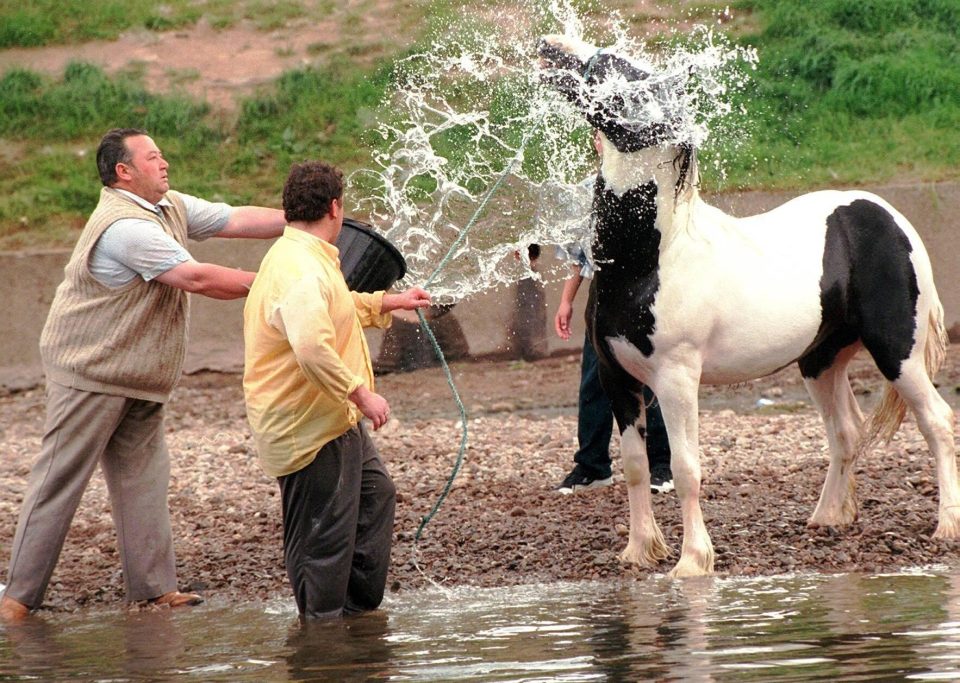  Travellers try to cool off their horse in the River Eden during a muggy festival on June 6, 1997