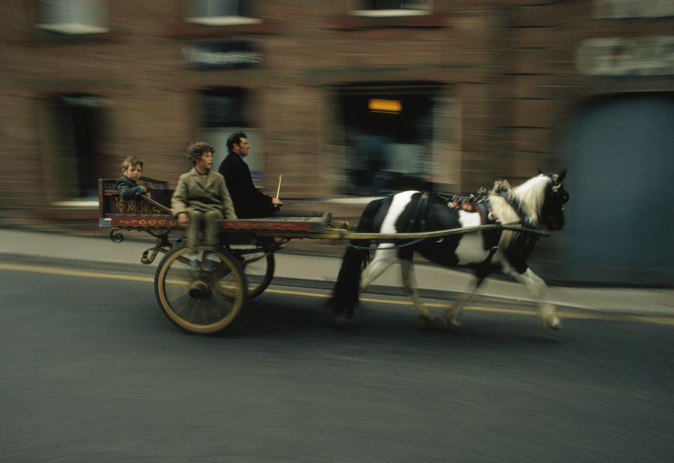  The sellers race and ride their horses up and down a main road to allow prospective buyers to assess their form and fitness. Pictured: A Piebald horse and its gypsy cart trot passengers through the town in the 1970s