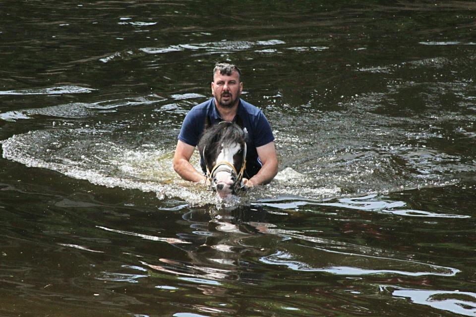  A traveller takes his horse for a swim in the River Eden in Appleby as the Fair gets under way