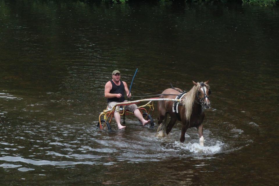  One traveller takes his pony and cart through the waters of the river in Appleby