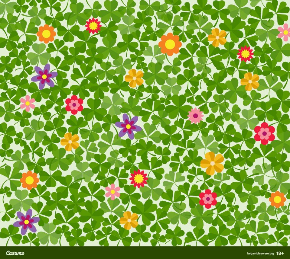  Can you spot the hidden four-leaf in this colourful field?