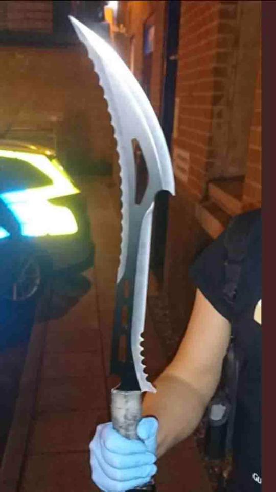  This shocking zombie knife was seized by cops in Lewisham