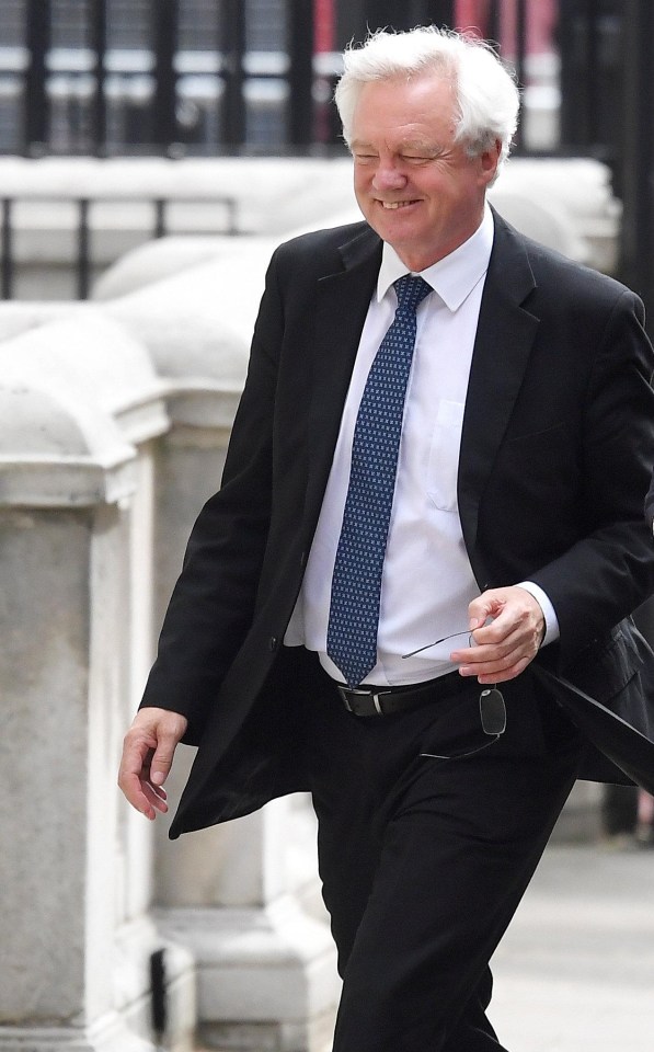 Davis arrives in Downing Street for talks on his role as Brexit Secretary with Theresa May