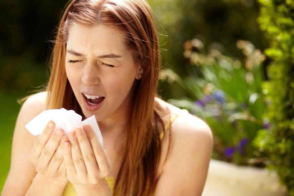  The summer season isn't nearly as pleasant if you suffer from hay fever