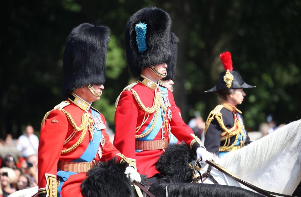  Prince Charles,, Prince William and Princess Anne during Trooping The Colour on the Mall