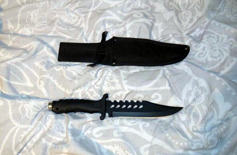  Knives belonging to Micah Bedeau were pictured after the gang was jailed for a total of ten years and nine months