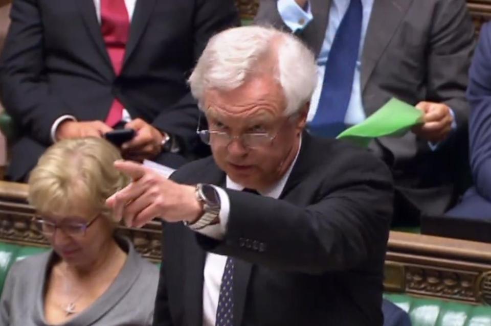  David Davis urged rebels to not vote for anything which would stop Brexit from happening - and a rebellion was staved off