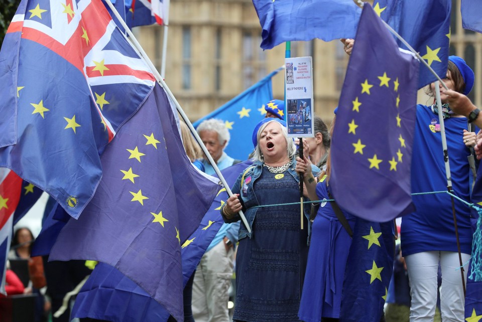 Pro-EU demonstrators hold placards and wave flags during an anti-Brexit protest today