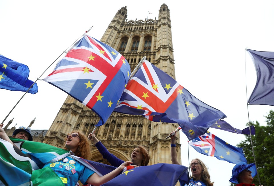 Protestors were encouraging Tory rebels to vote against the Government