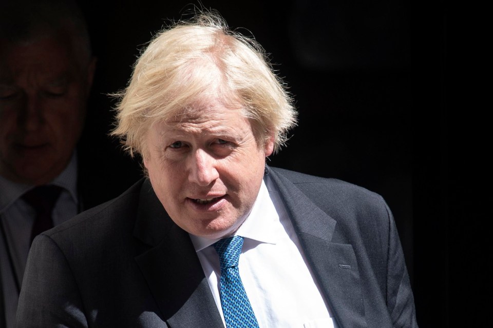 Foreign secretary Boris Johnson was a Brexit backer during the run-up to the vote