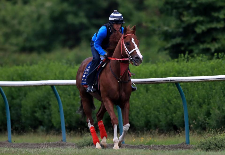  Bucchero was invited to take part at Royal Ascot