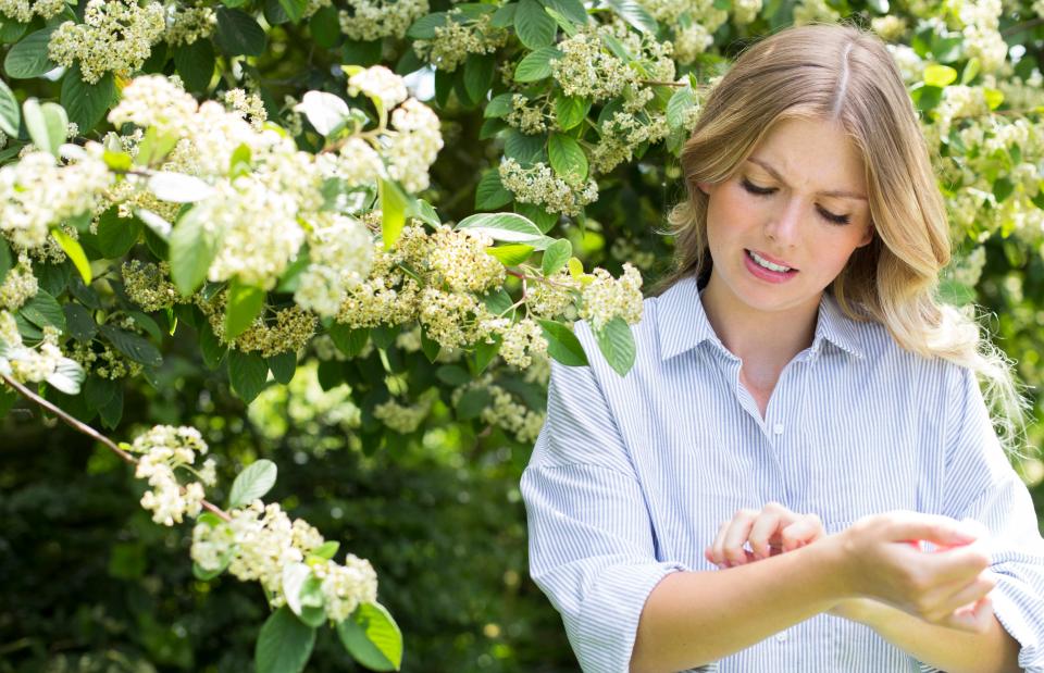  Treatment for hay fever can include taking antihistamines to prevent an allergic reaction